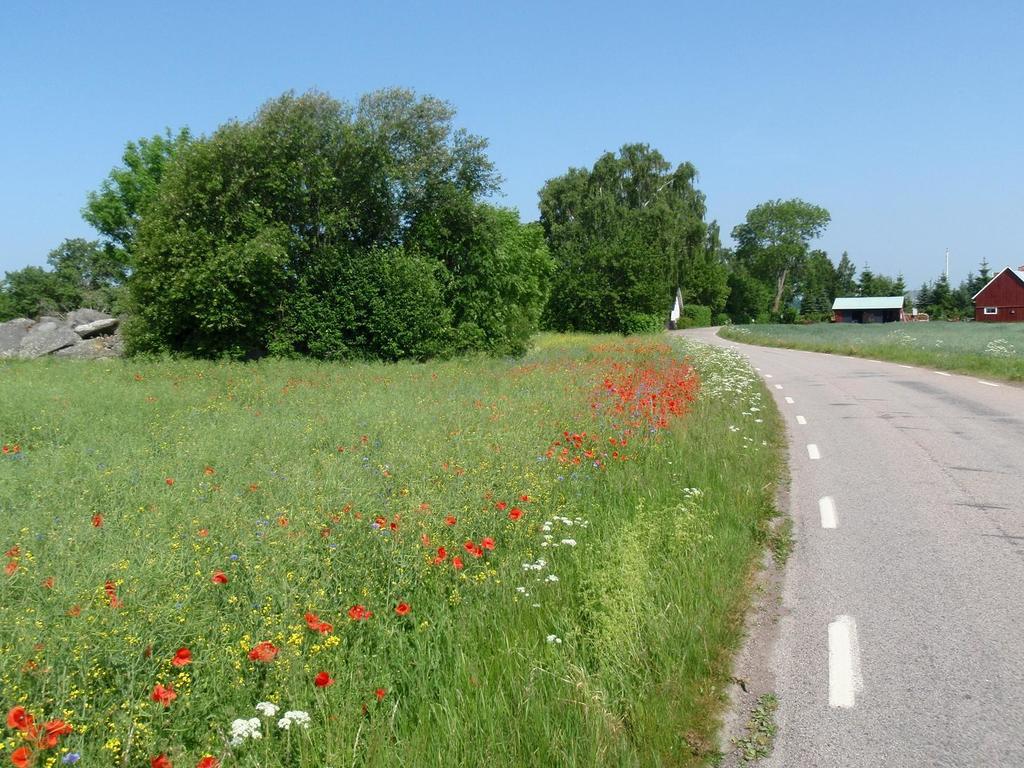 Takern Vandrarhem Svanshals Exterior foto