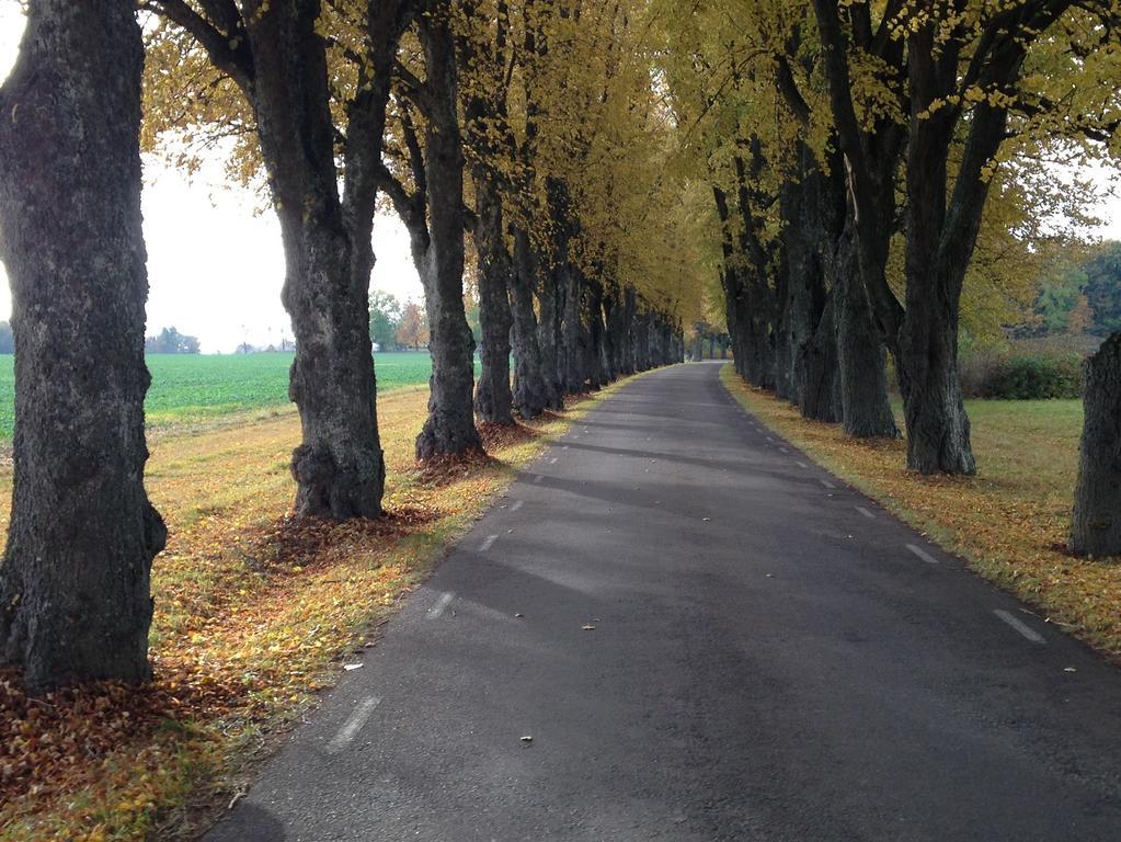 Takern Vandrarhem Svanshals Exterior foto