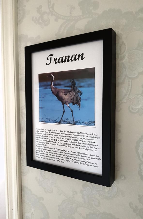 Takern Vandrarhem Svanshals Exterior foto