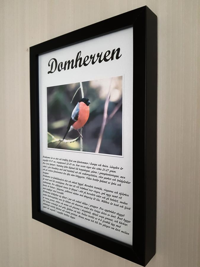 Takern Vandrarhem Svanshals Exterior foto