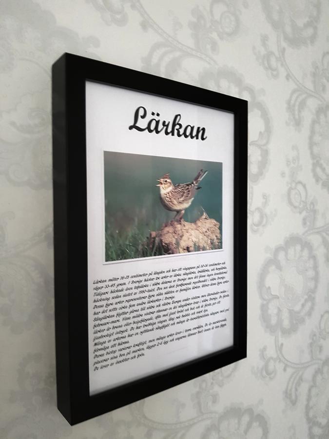 Takern Vandrarhem Svanshals Exterior foto