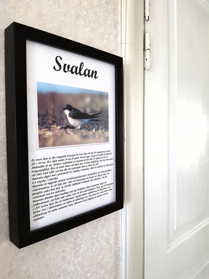 Takern Vandrarhem Svanshals Exterior foto